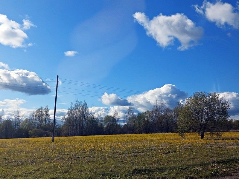 20250508_171127.jpg