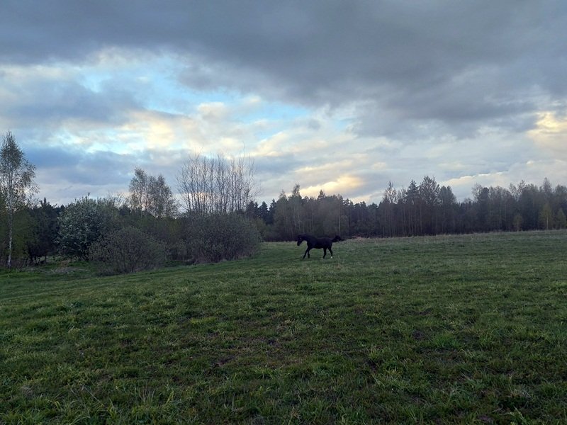 20250509_195000.jpg