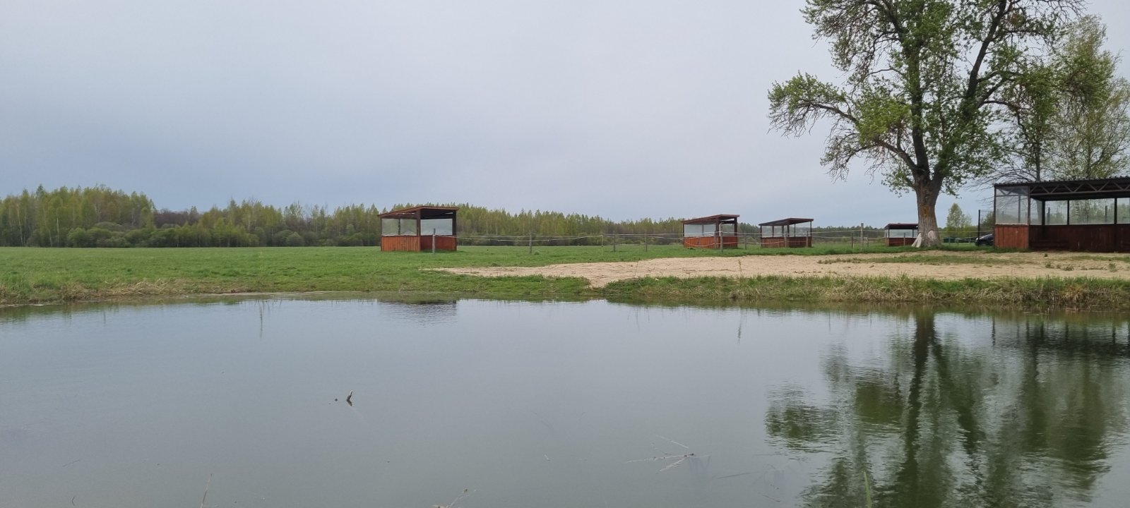 20250510_094043.jpg