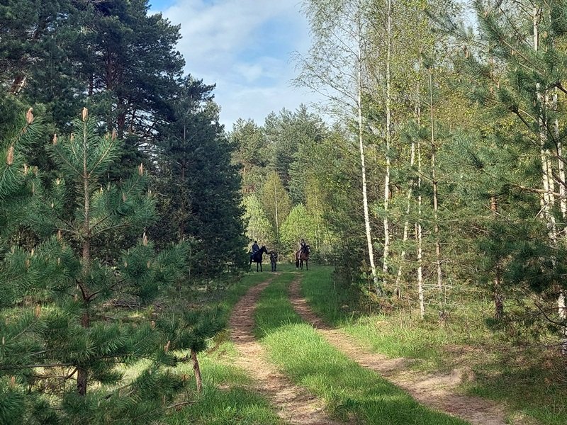 20250515_163850.jpg