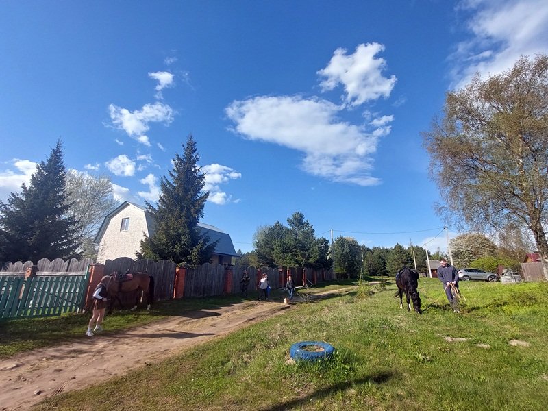 20250515_165828.jpg