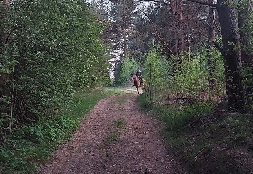 20250522_211403.jpg