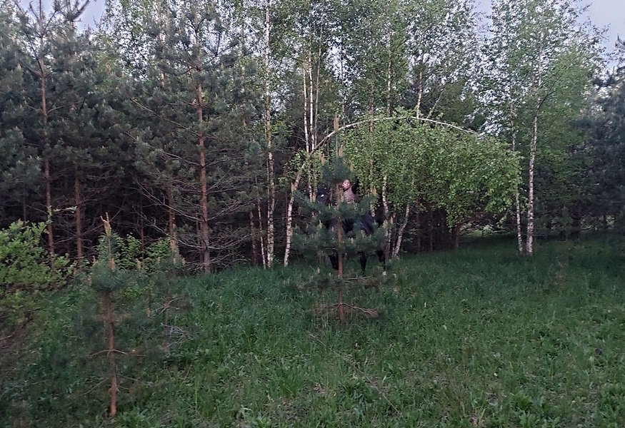 20250522_212355.jpg