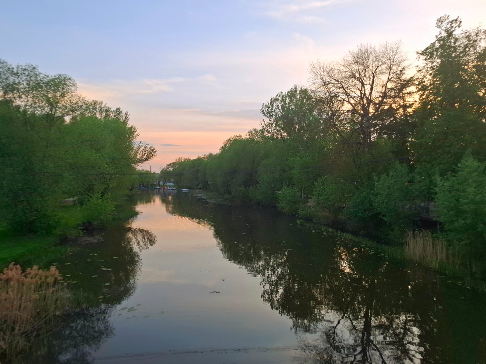 20250523_202650.jpg