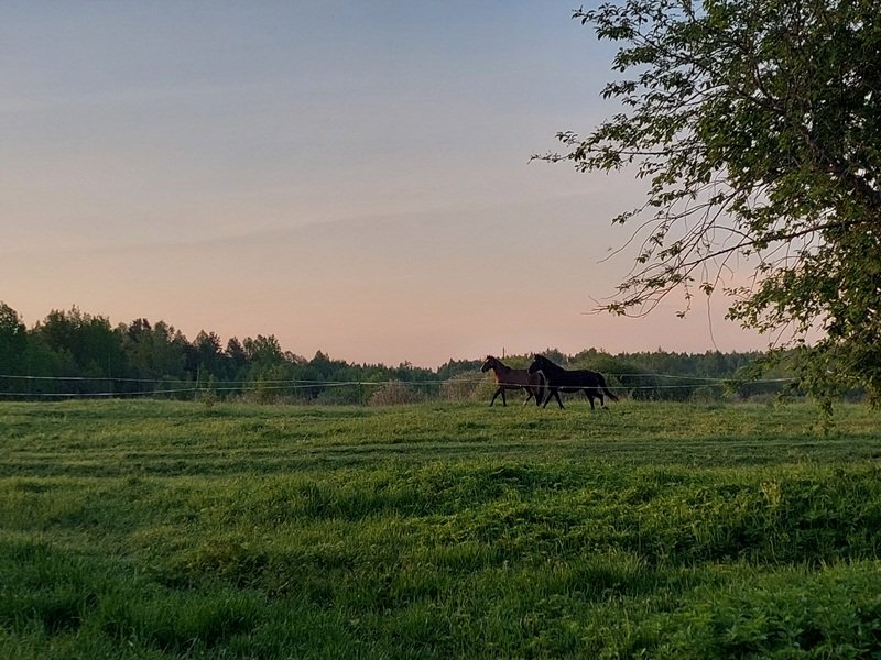 20250524_044424.jpg