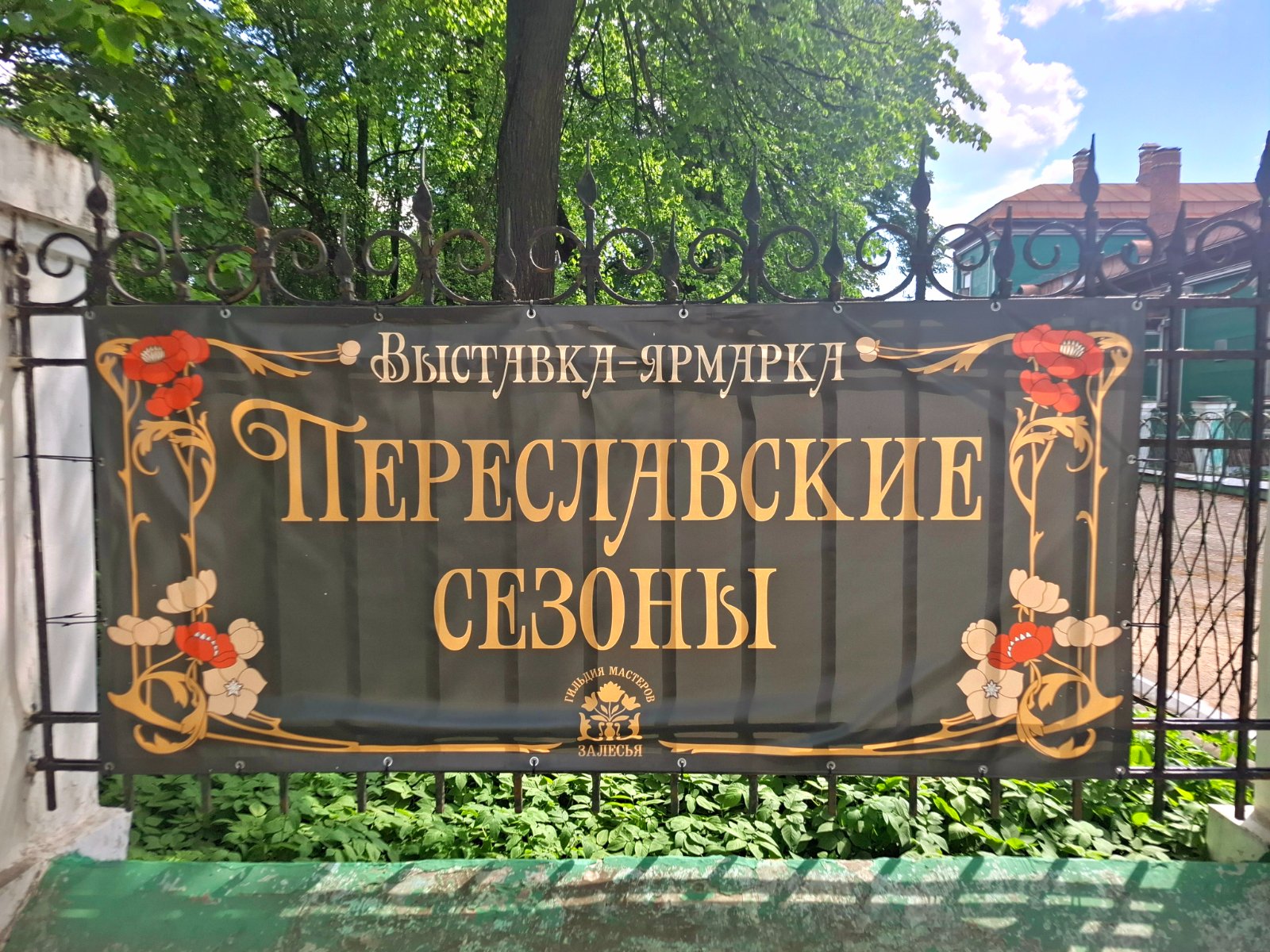 20250524_115013.jpg
