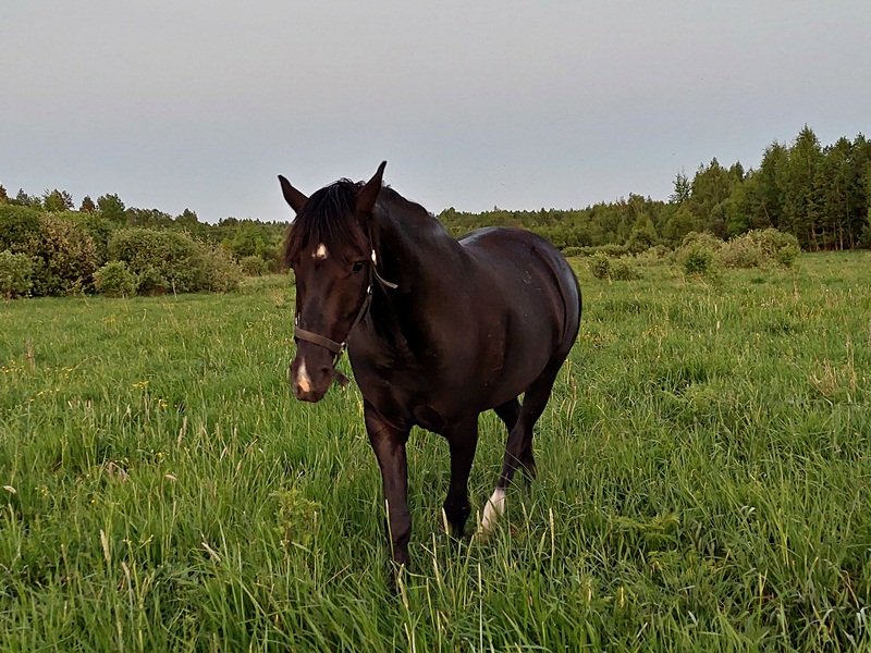 20250528_211207.jpg