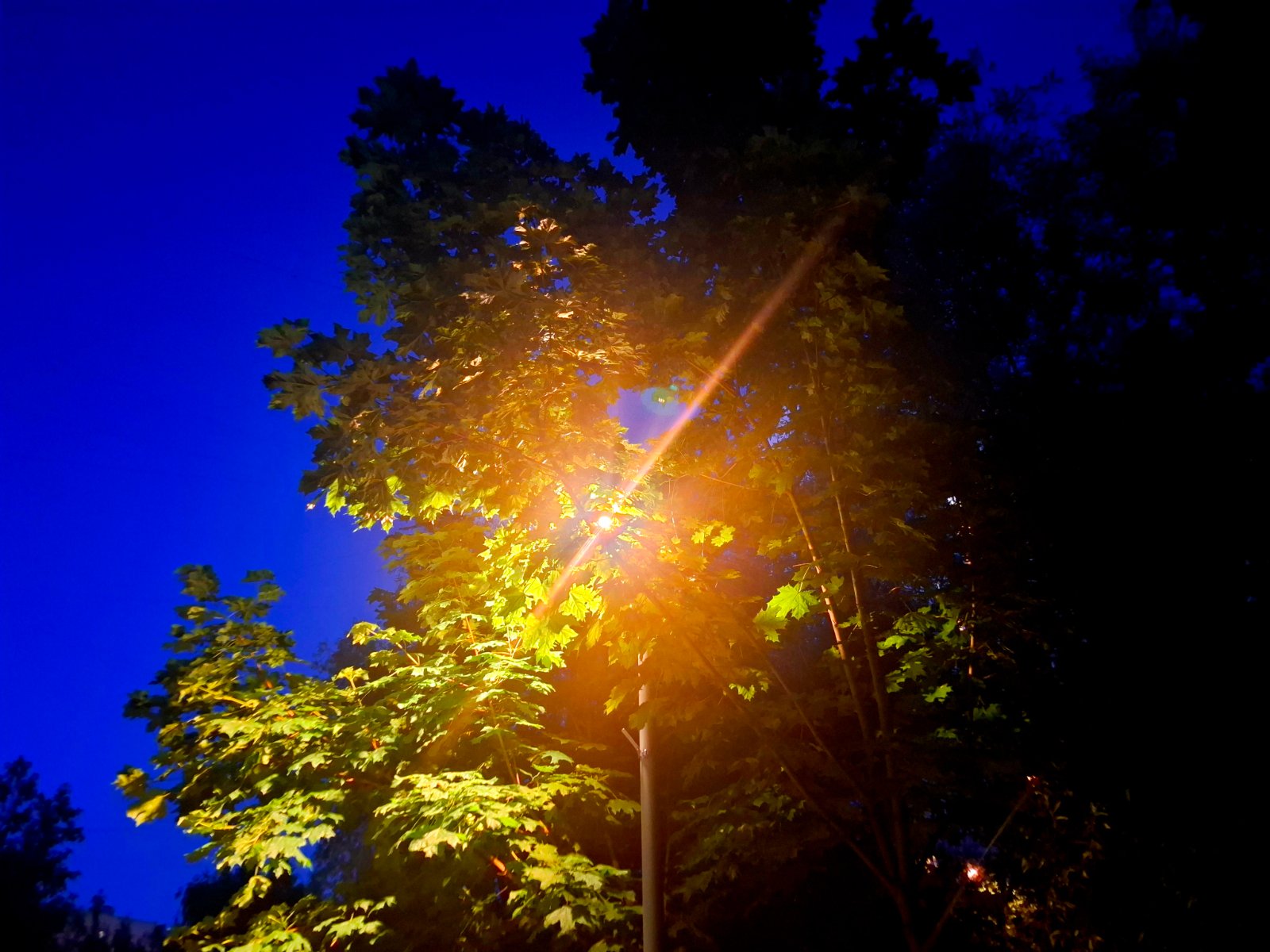 20250528_215929.jpg