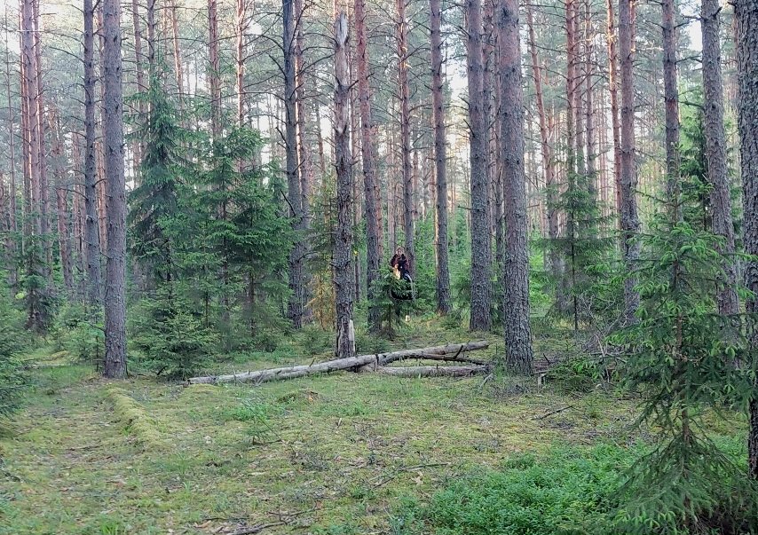 20250601_194420.jpg