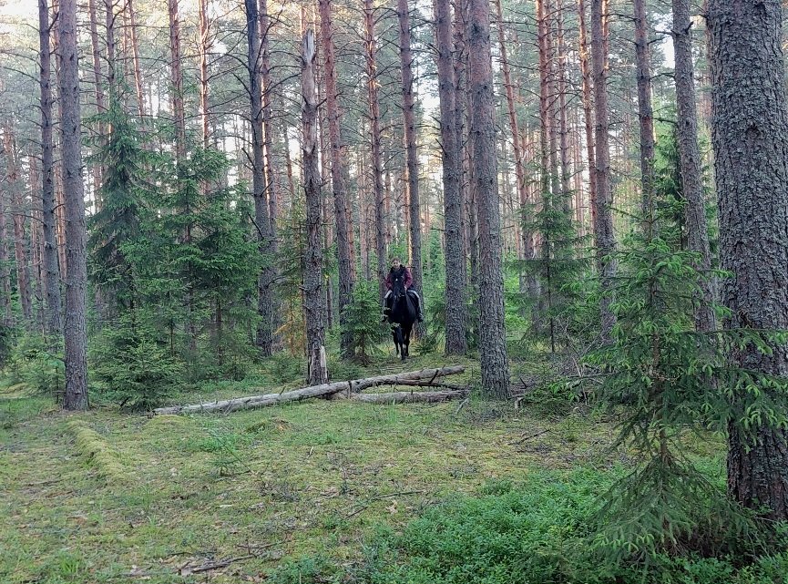20250601_194424.jpg