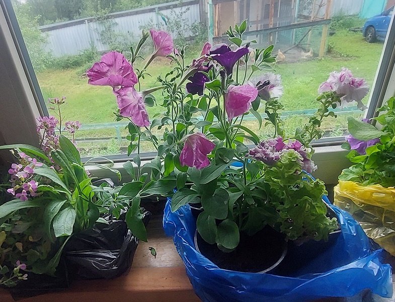 20250614_114206.jpg