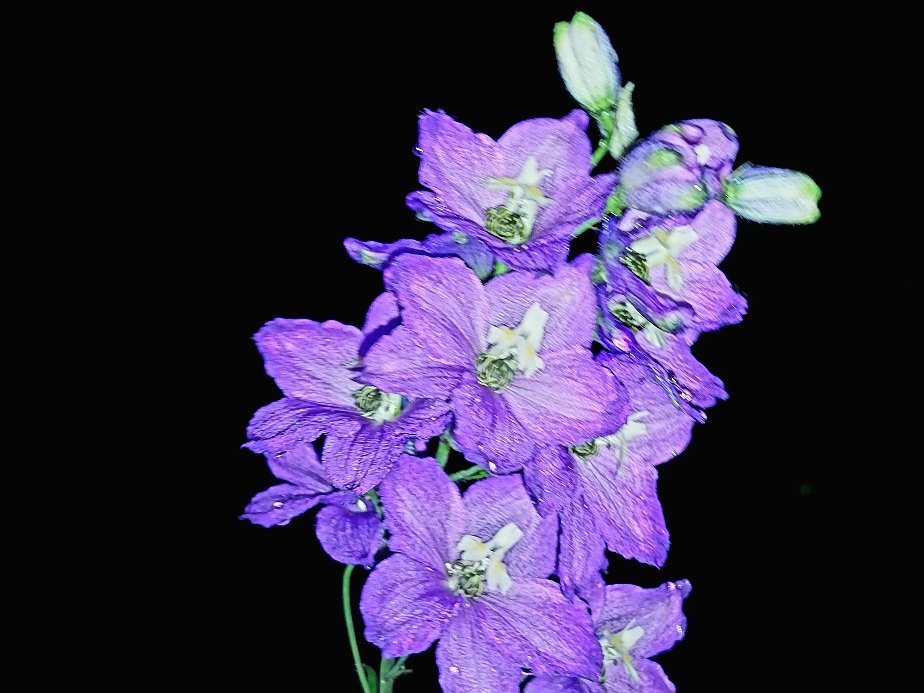 20250625_215435.jpg