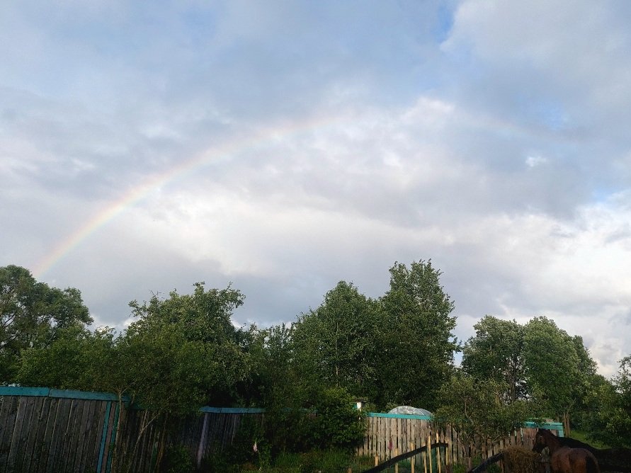 20250626_193020.jpg