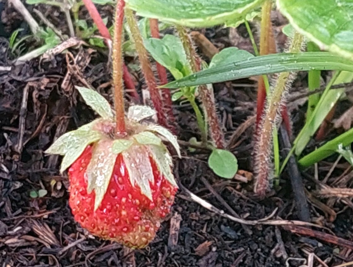20250626_193105.jpg