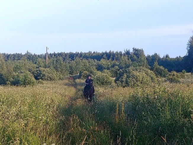 20250628_200553.jpg