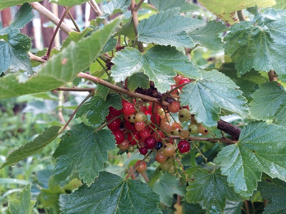 20250630_194122.jpg