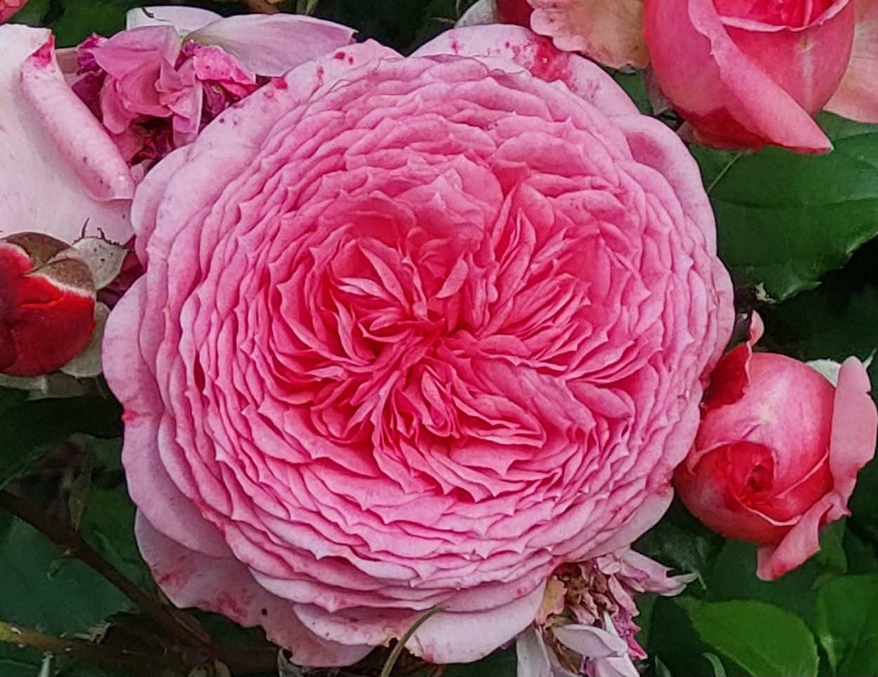 20250705_083316.jpg