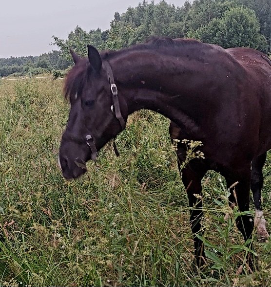 20250708_210324.jpg