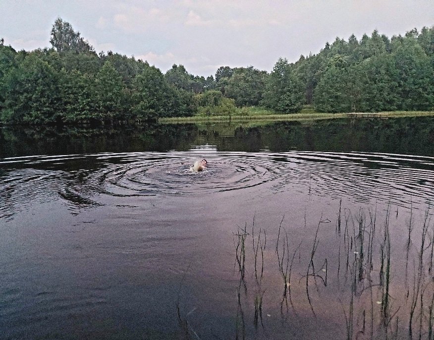 20250708_220336.jpg