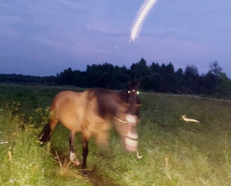 20250708_222713.jpg