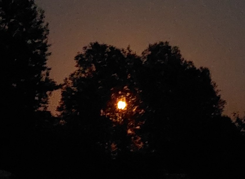 20250713_232152.jpg