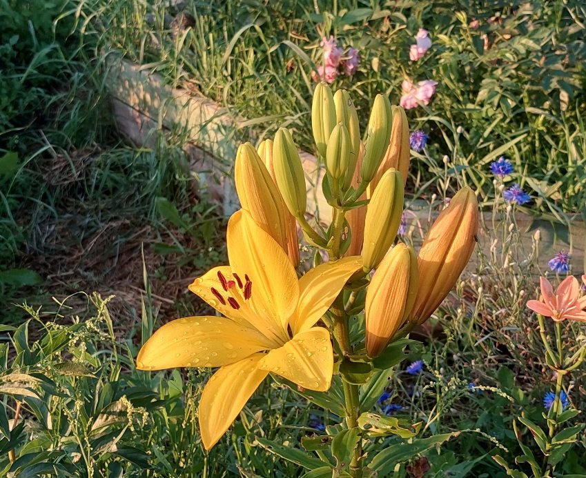 20250715_201453.jpg