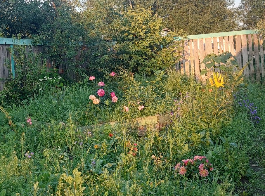 20250715_201641.jpg