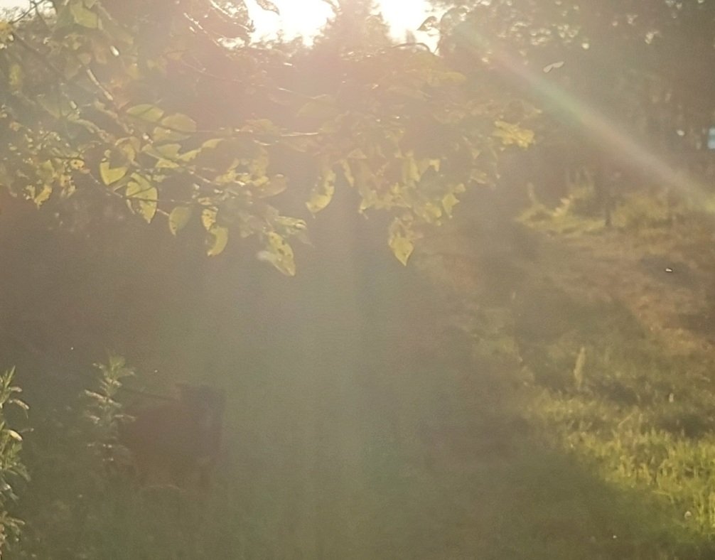 20250718_200334.jpg