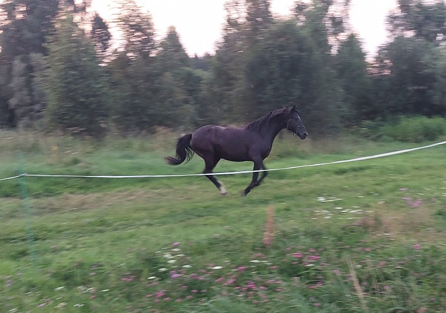 20250720_204001.jpg