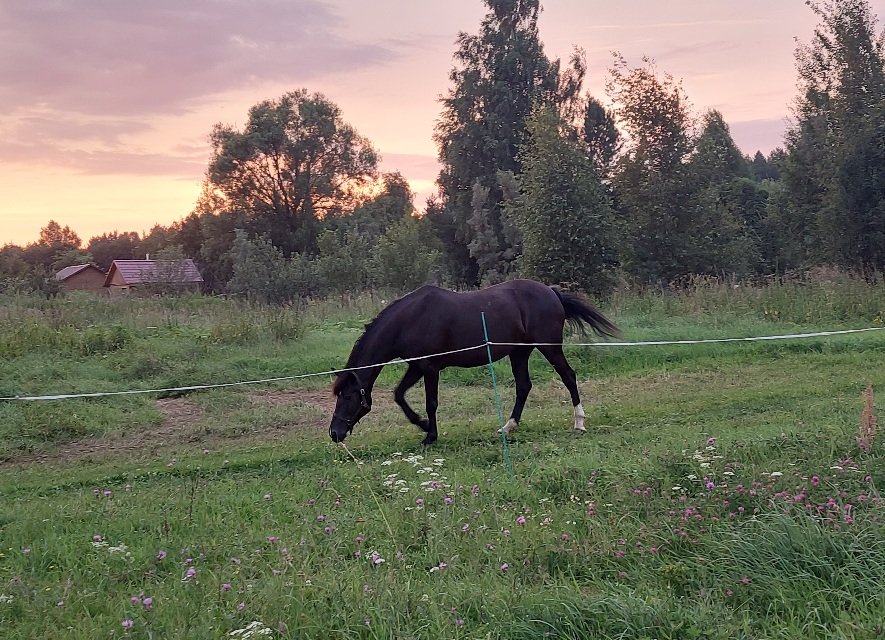 20250720_204029.jpg