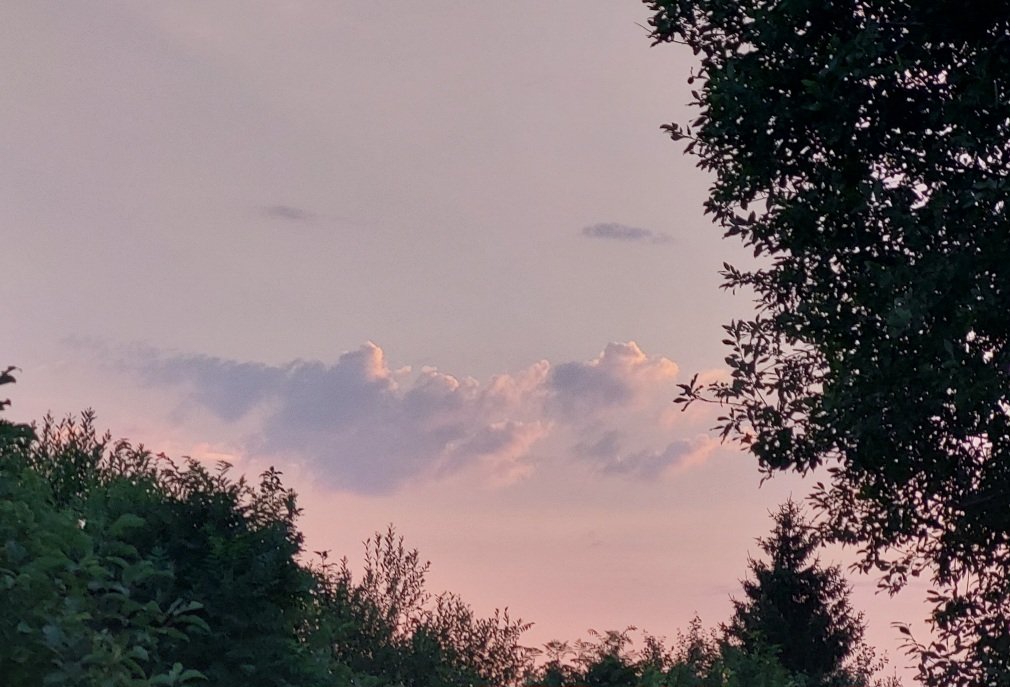 20250720_205446.jpg