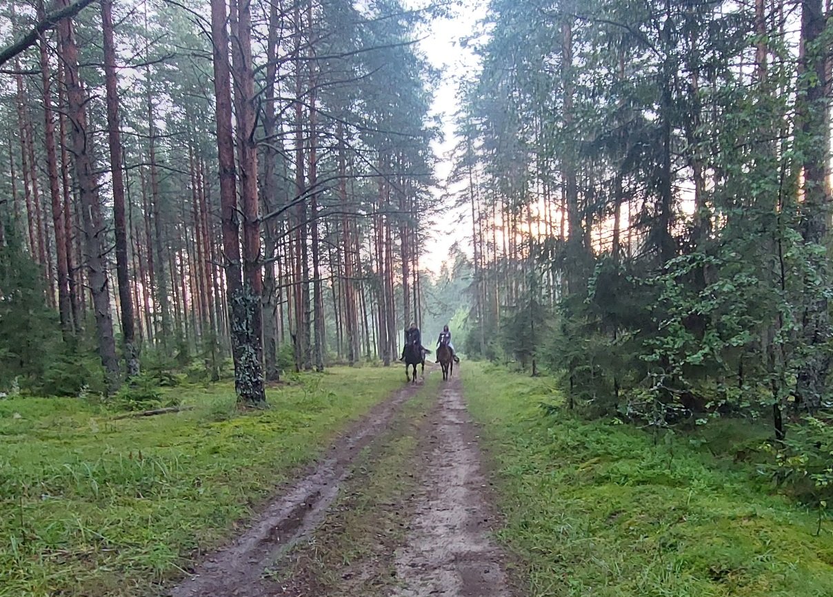 20250722_202951.jpg
