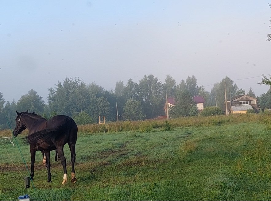 20250723_054957.jpg