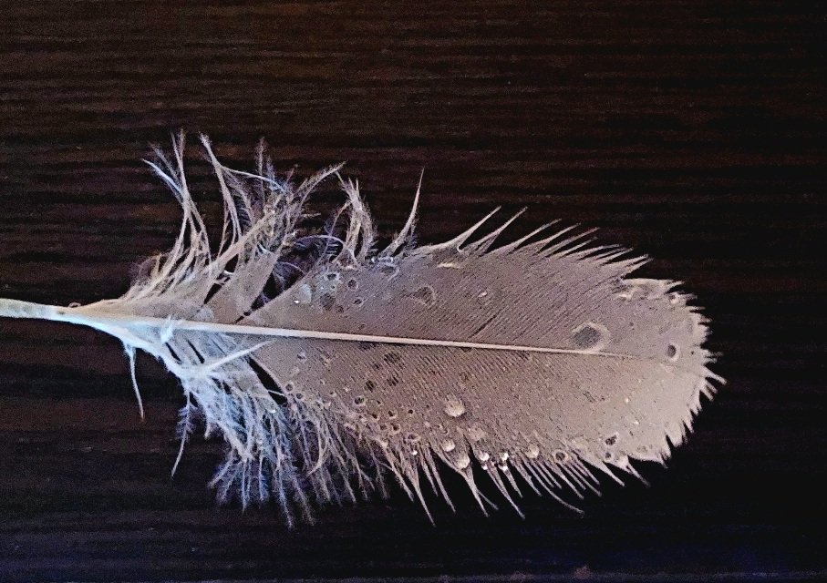 20250724_055512.jpg