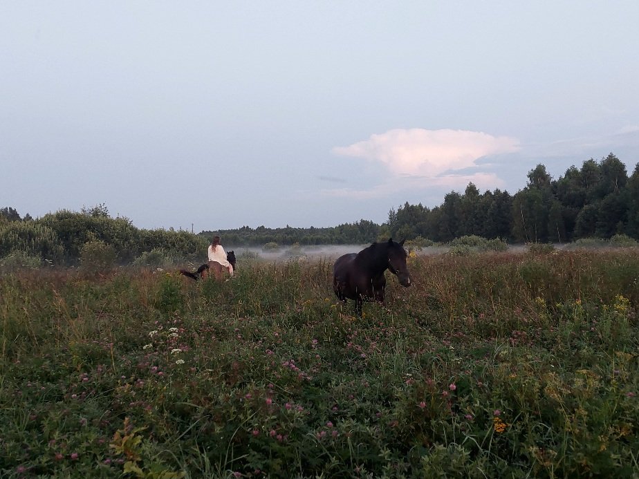 20250724_211904.jpg