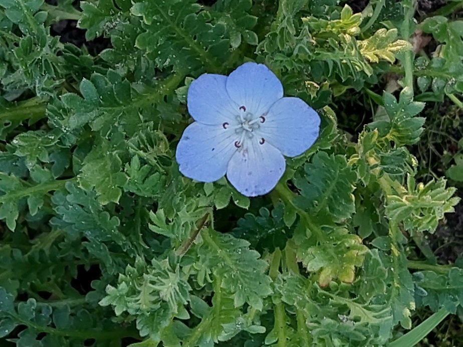 20250725_194932.jpg