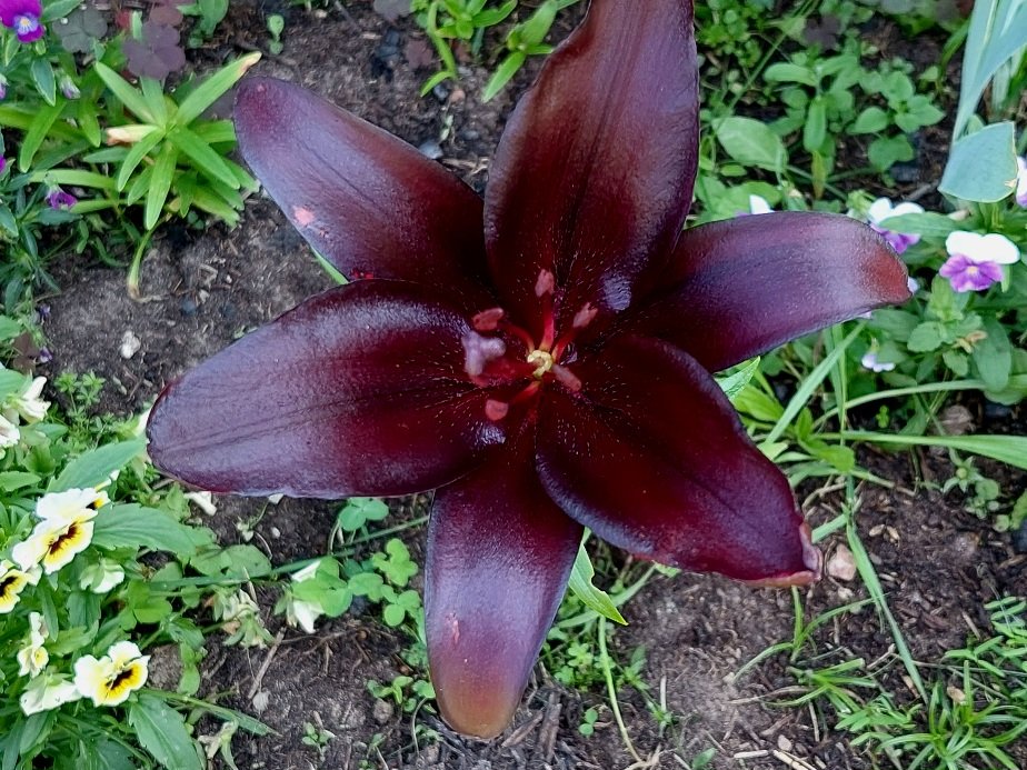 20250726_120920.jpg