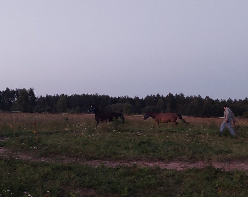 20250726_212058.jpg