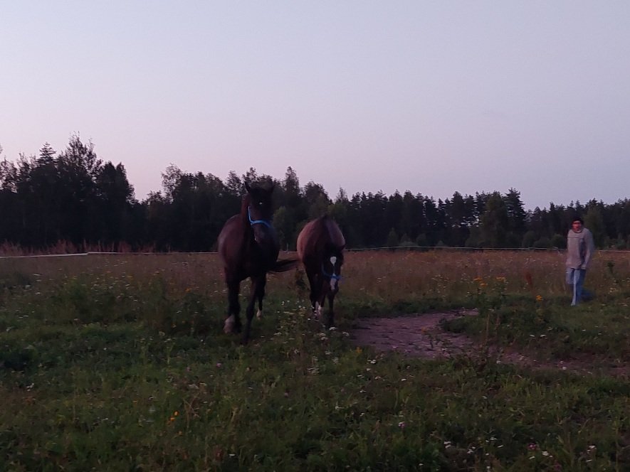 20250726_212105.jpg