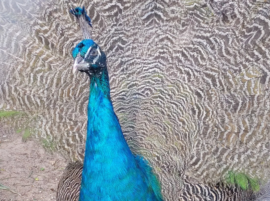 20250728_131623.jpg