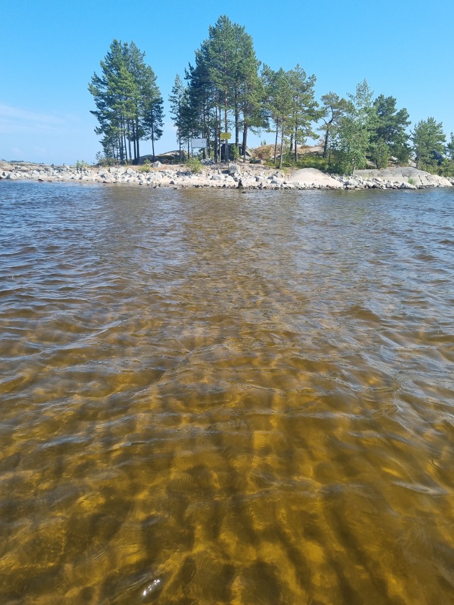 20250728_151948.jpg
