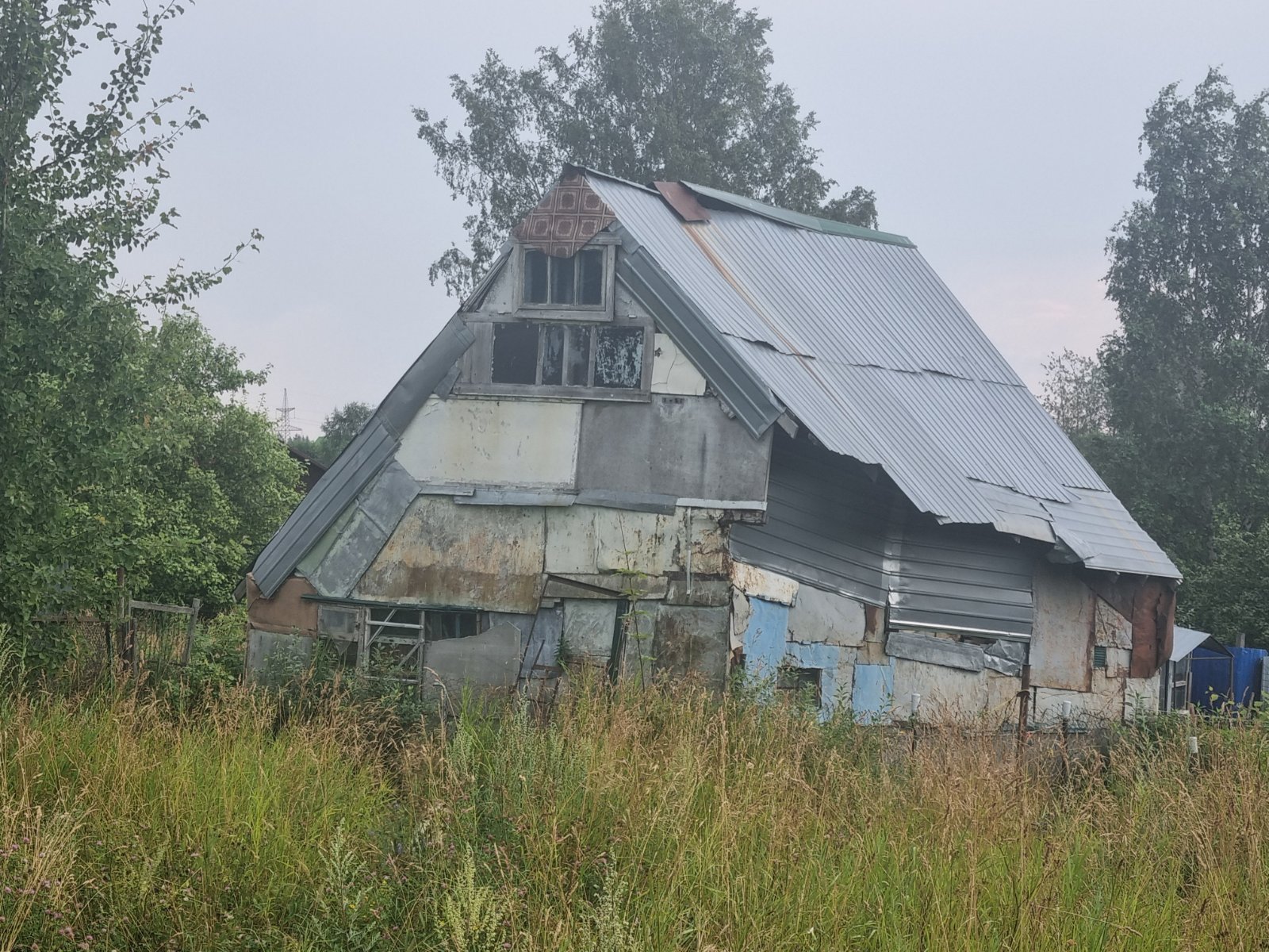 20250731_090935.jpg
