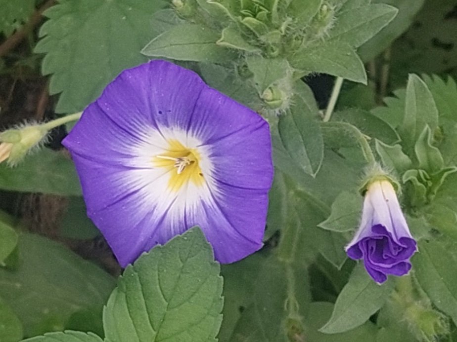 20250801_160246.jpg