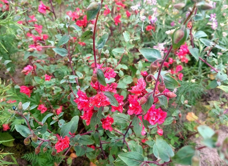 20250801_160619.jpg