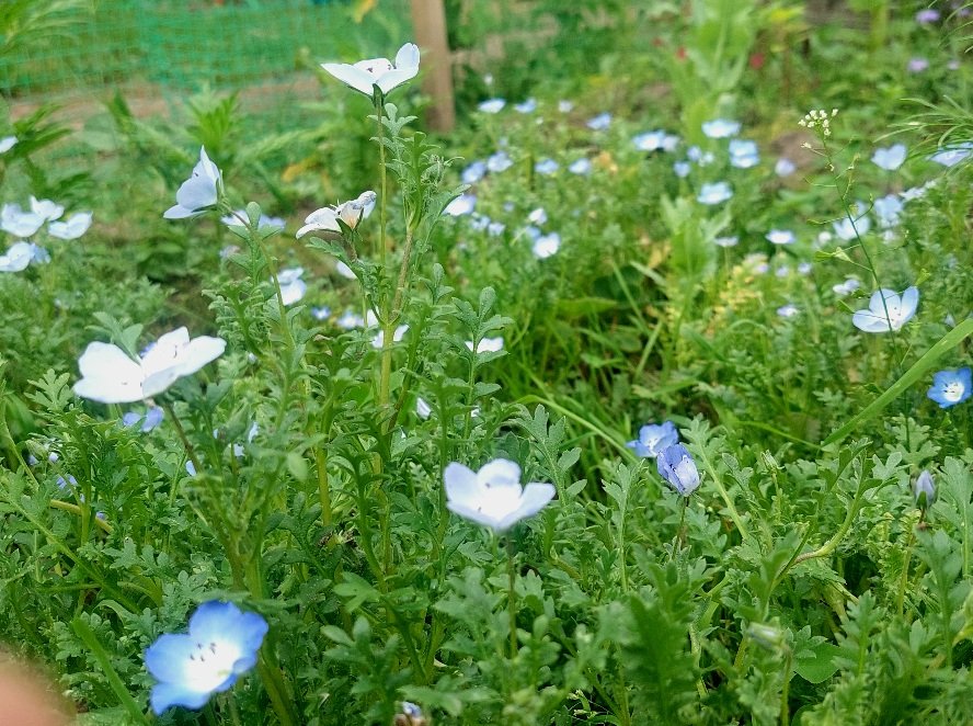 20250801_160632.jpg