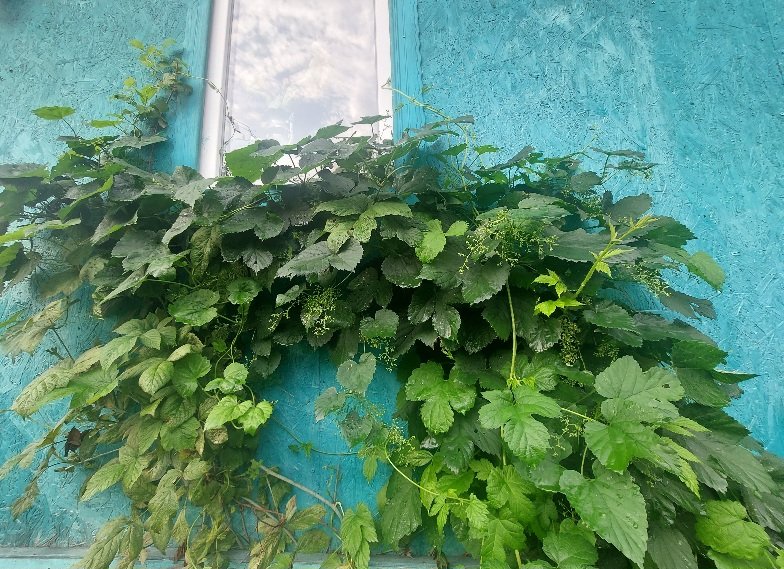 20250802_054555.jpg