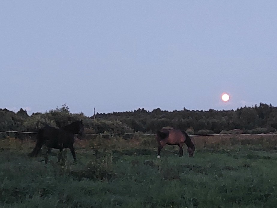 20250808_210024.jpg