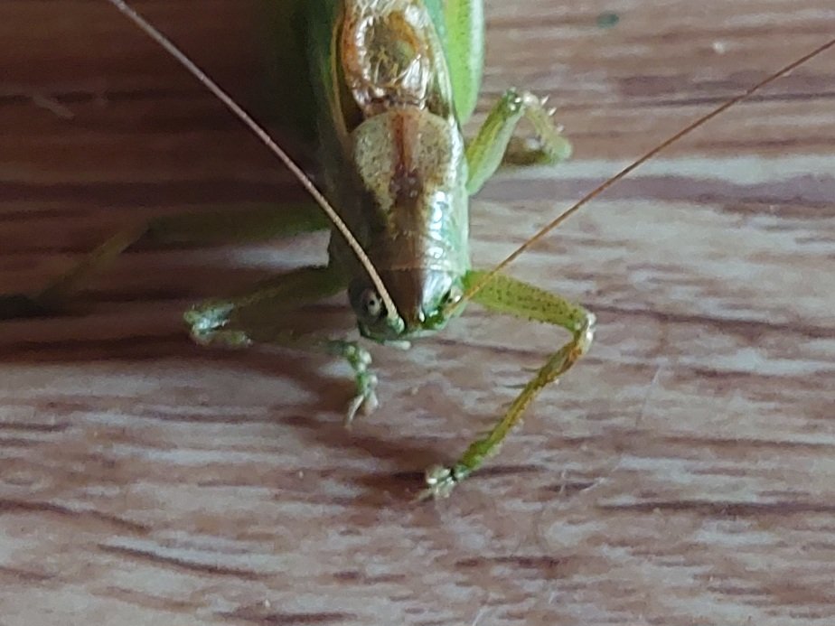 20250810_165407.jpg