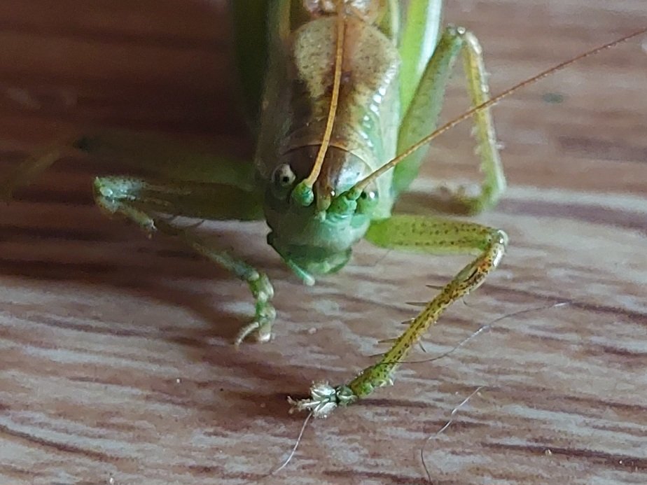 20250810_165427.jpg