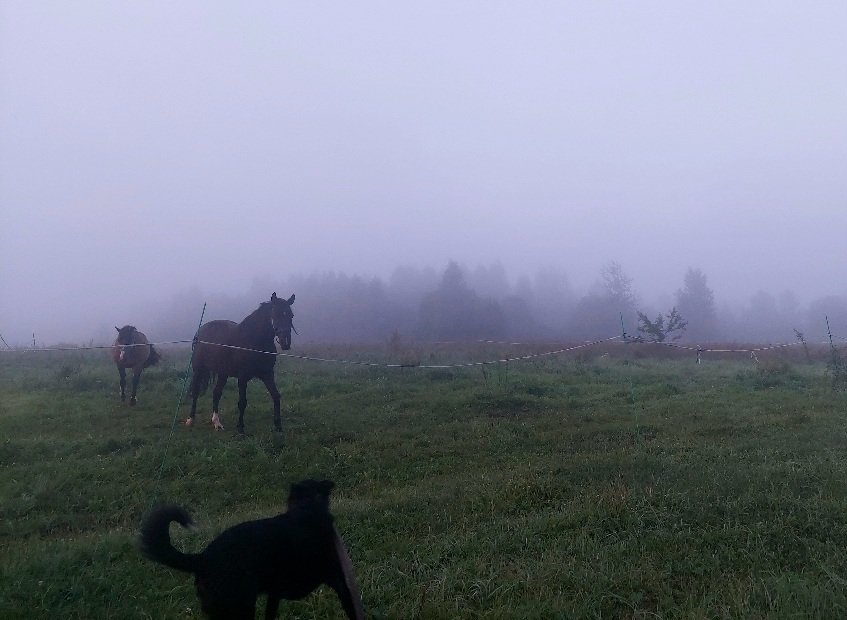 20250812_045403.jpg